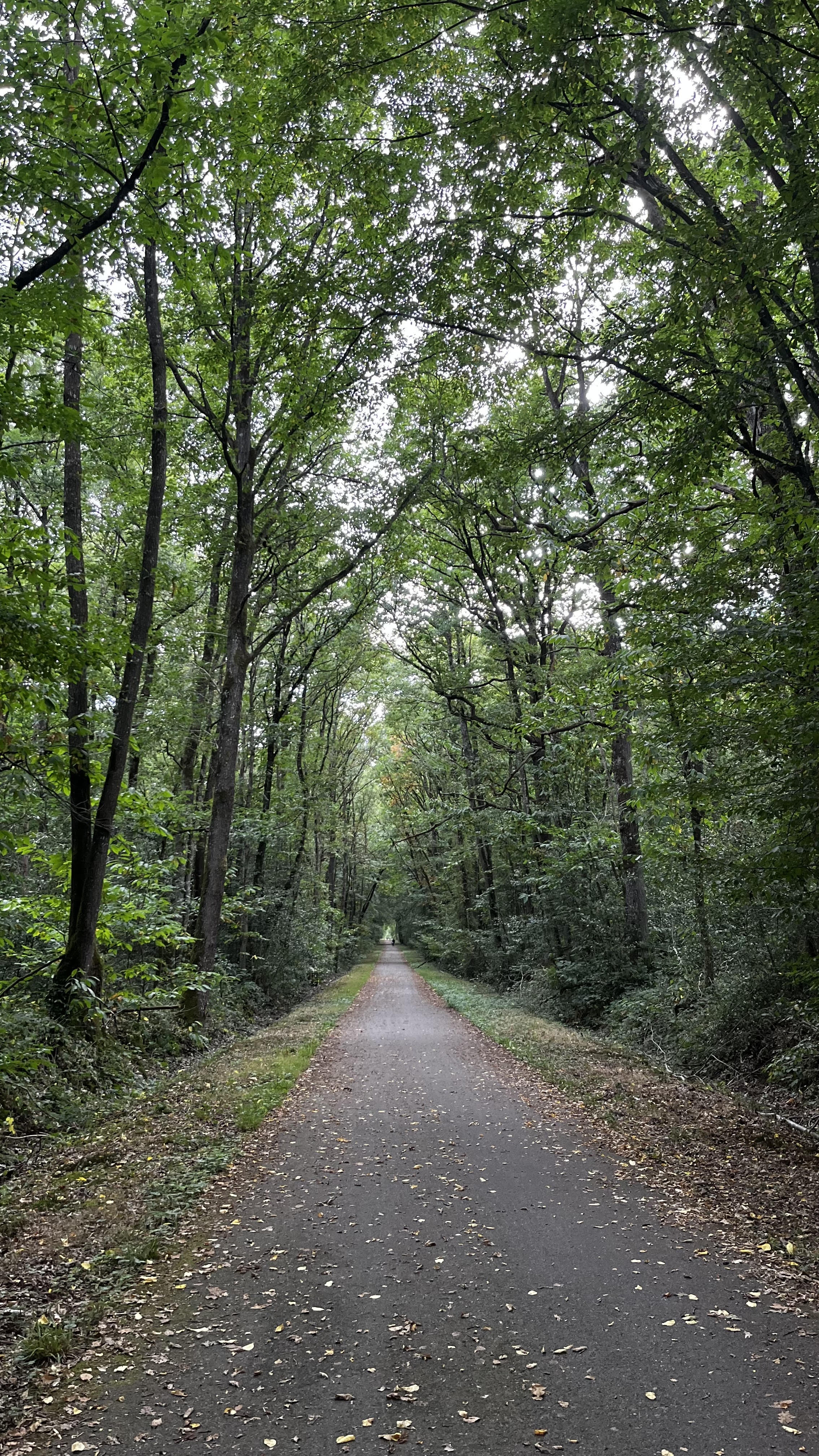 Démarche éco-responsable